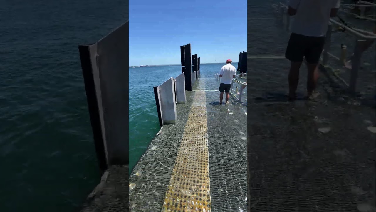 💥LA PEROUSE FERRY WHARF💥