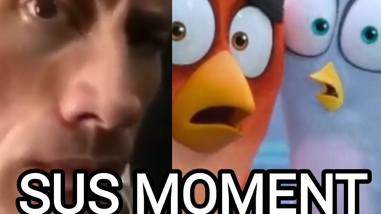 The Angry Birds Movie 2, SUS moment 🤨📸