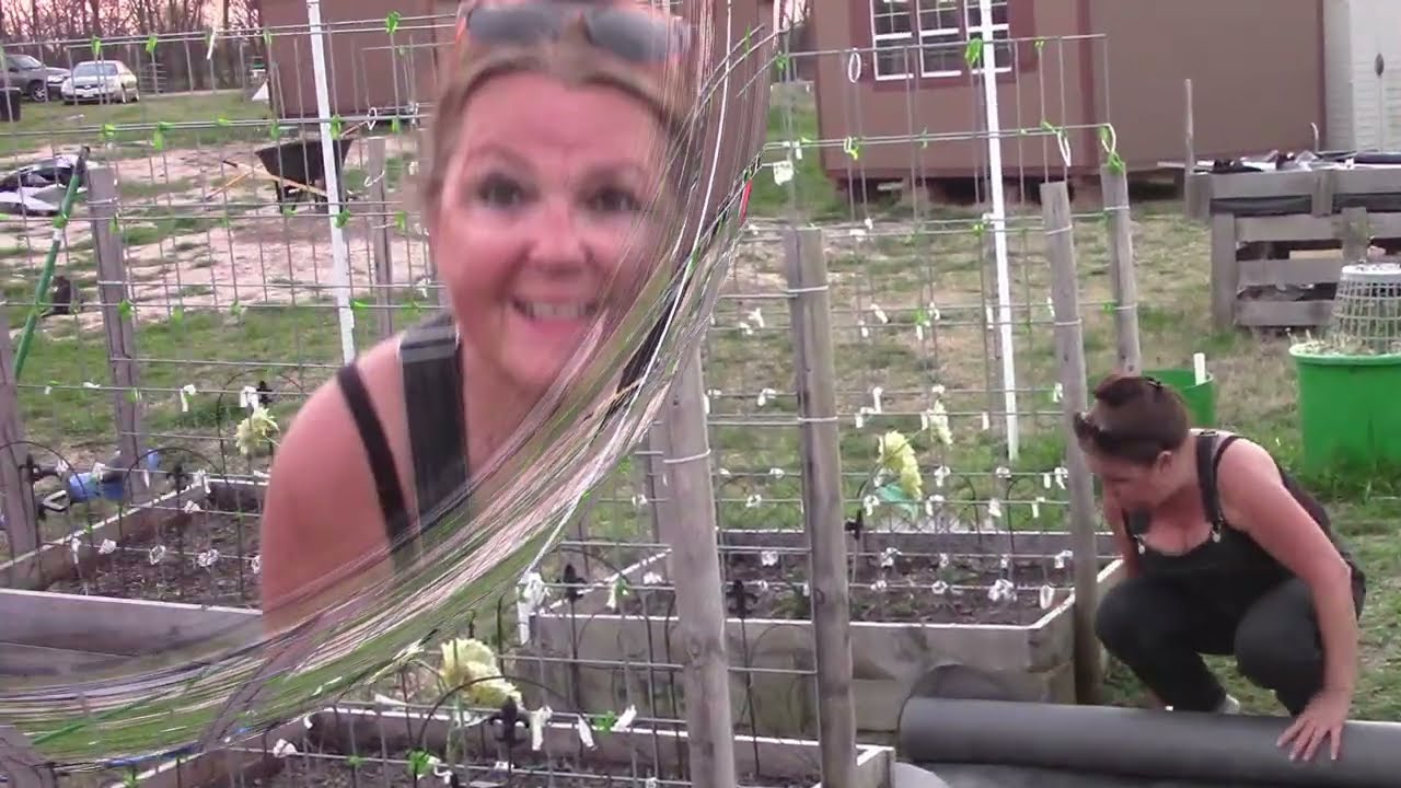 Our Property #806 Garden cloth and securing garden boxes