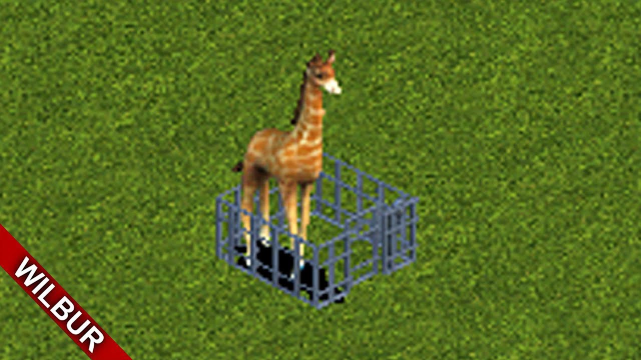 Выпуск всех животных в Zoo Tycoon