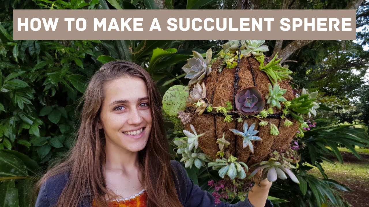 How To Make A Succulent Sphere ✧ Succulent DIY Hanging Arrangement