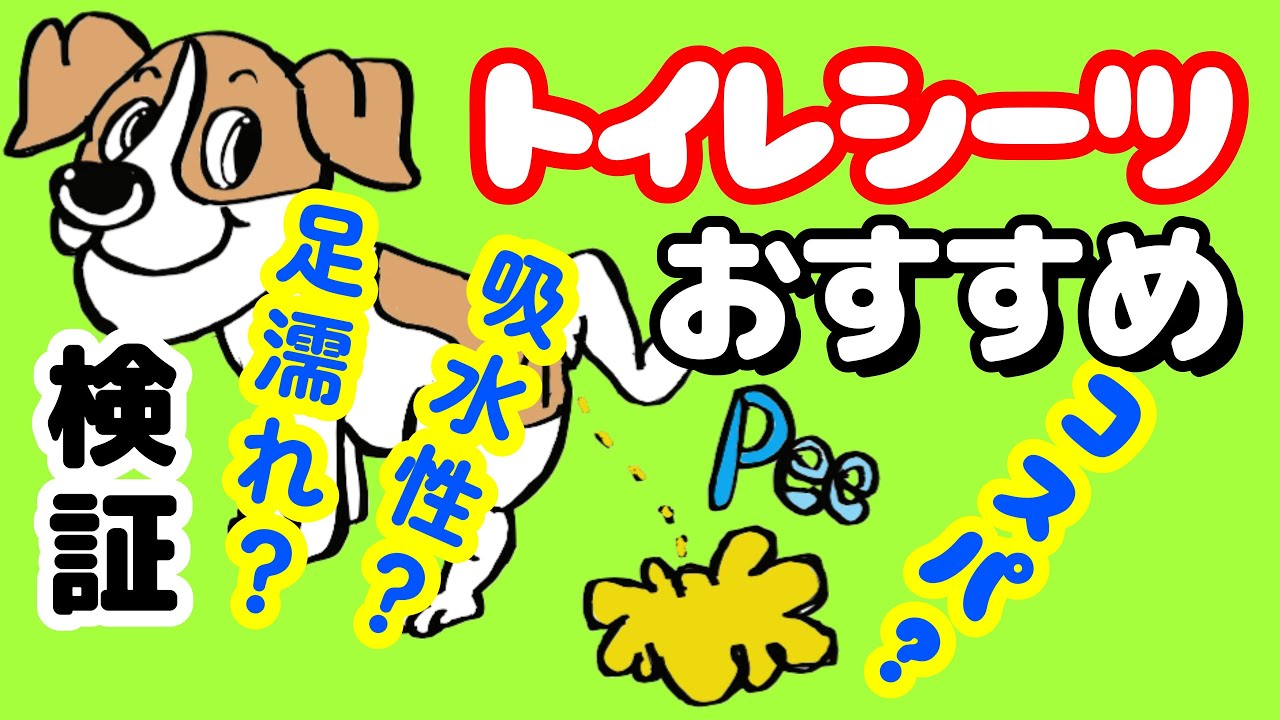 【おすすめの犬用トイレシーツ】ペットシーツ３選！検証したら衝撃の結果となりました