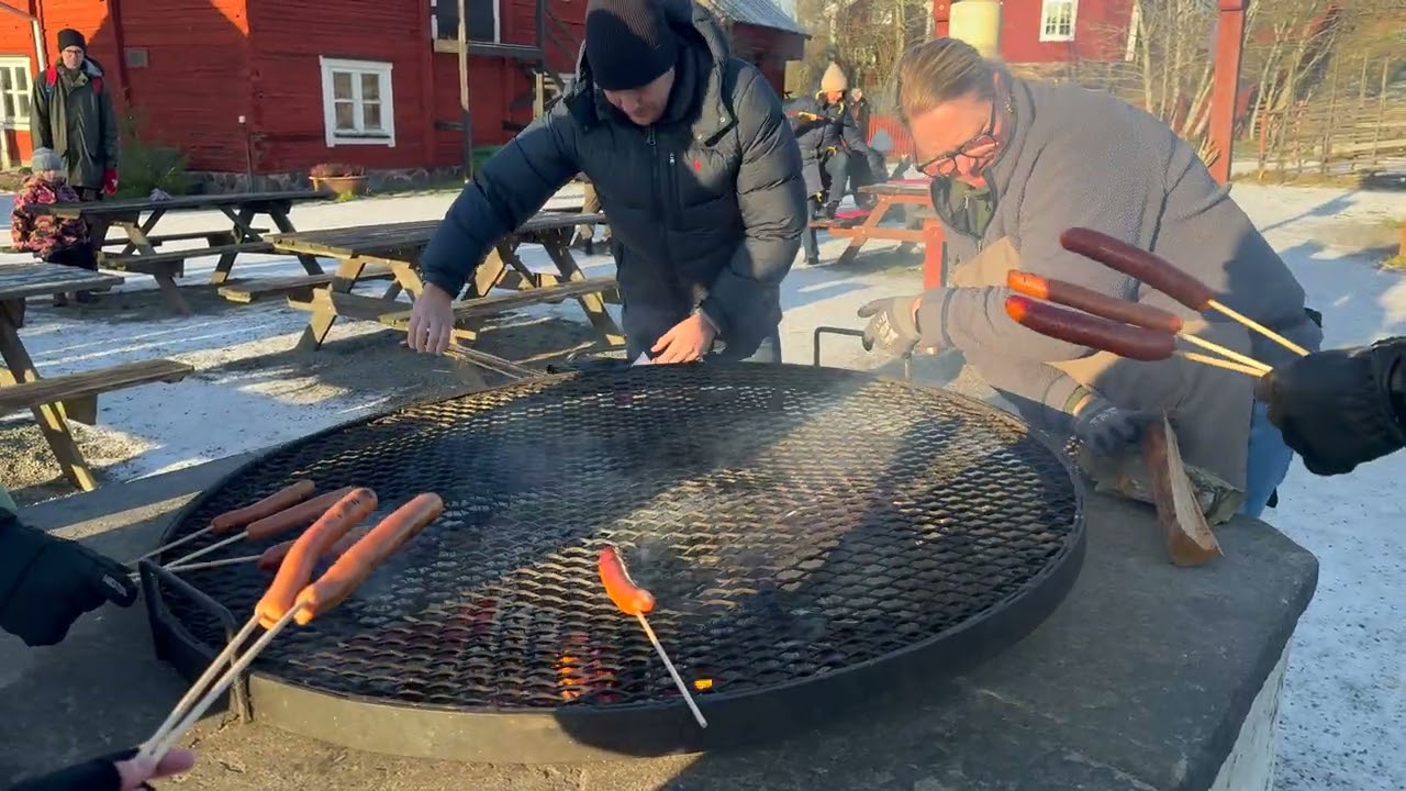 Stockholm's Wild Side 🇸🇪🪵 Tyresta National Park and Björnö | Travel Vlog