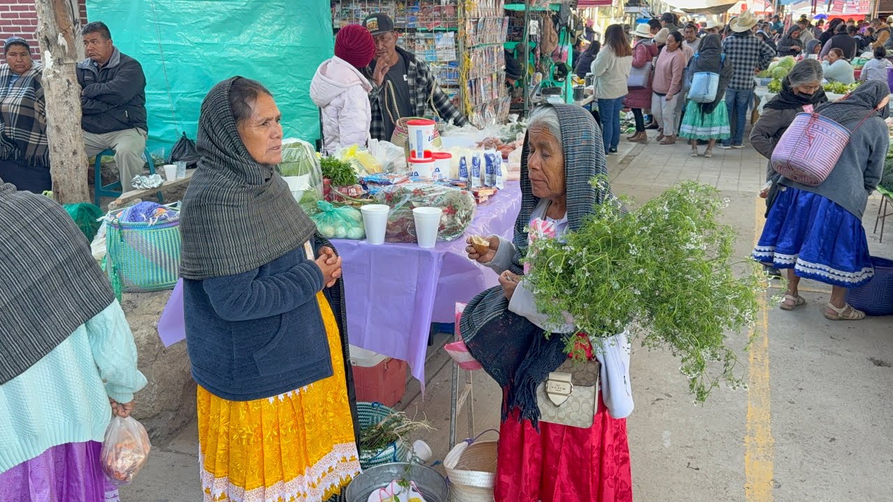 Día de plaza en San Juan Mixtepec región de la mixteca a oaxaqueña 