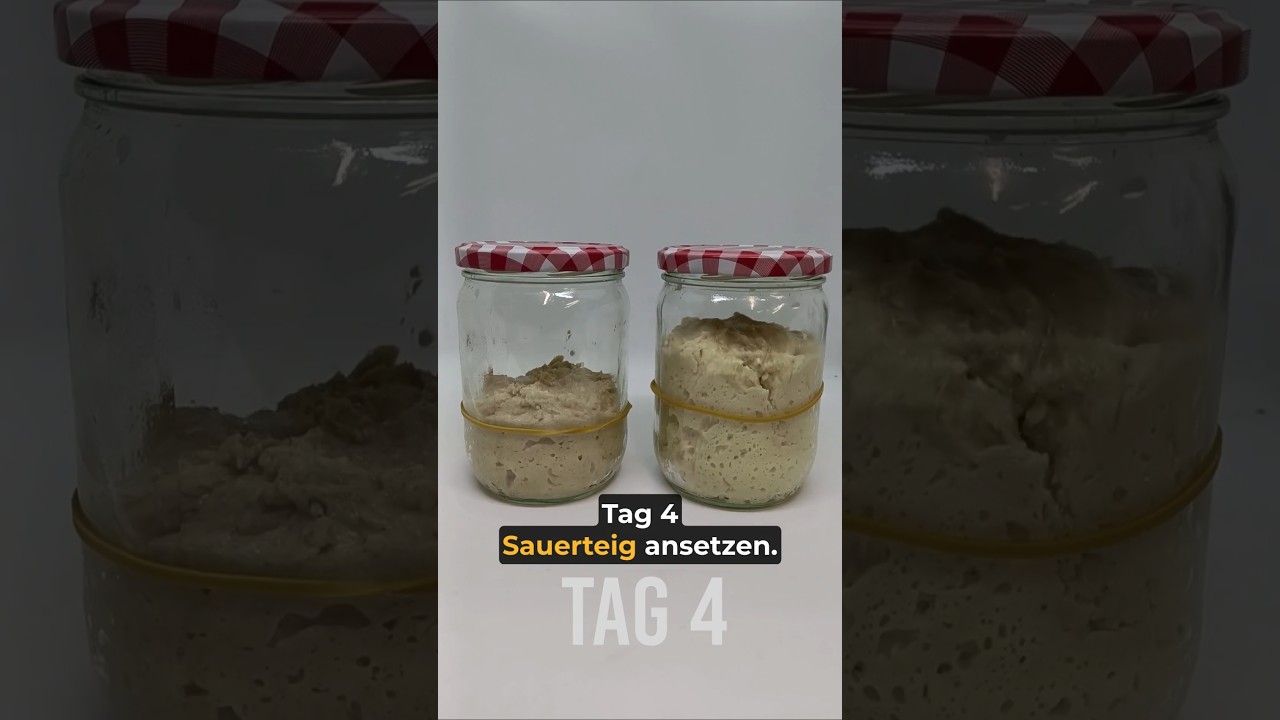 Sauerteig ansetzen Tag 4 - so einfach startest du deinen eigenen Sauerteig! 