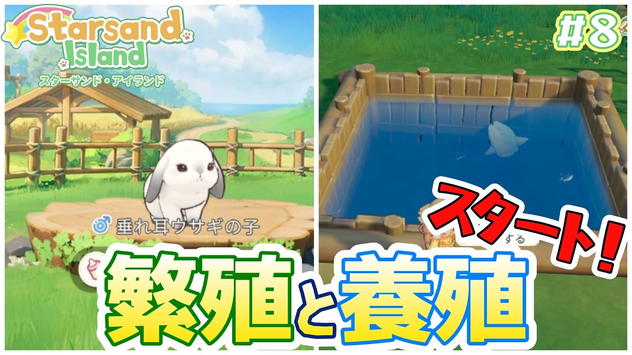 #8【Starsand Island】できること大盛りの心躍る島暮らしで繁殖と養殖スタート！