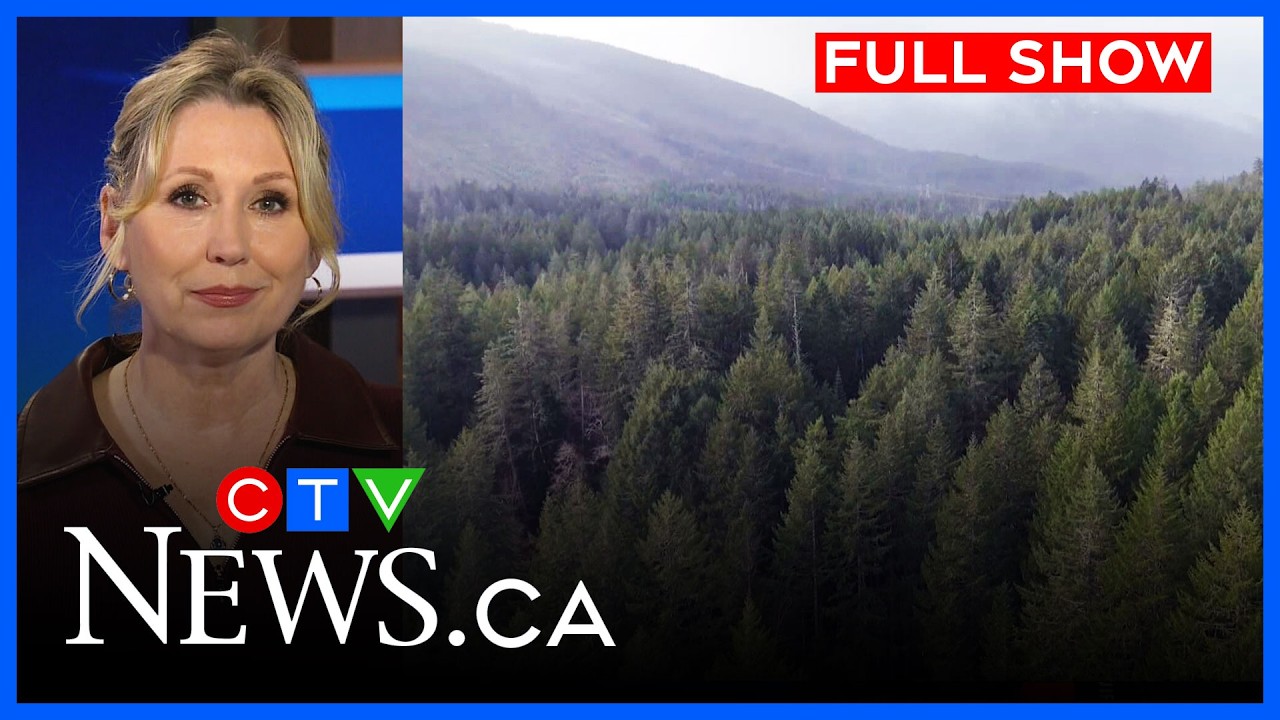 Balancing forestry and clean water | CTV News Vancouver Island | Feb 26, 2026