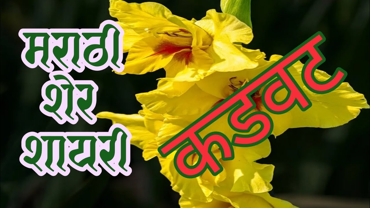 Marathi Sher Shayari|मराठी शेर शायरी|#trending #viral #marathi