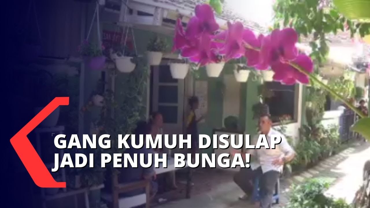 Warga Kediri Sulap Gang Kumuh jadi Lebih Asri dengan Bunga-bunga dan Tanaman Obat!