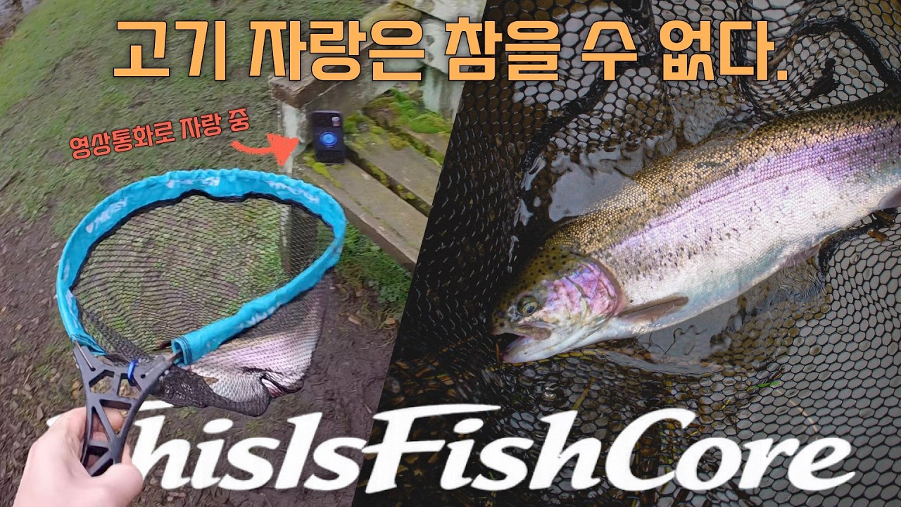 영국에서 10000키로 떨어진 한국에 자랑하기