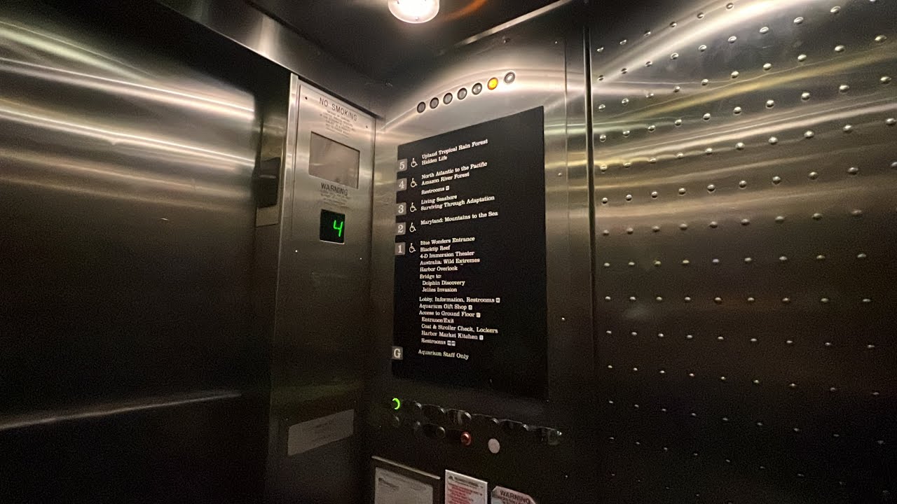 Epic Motor: Otis Modded Traction Elevator A at the National Aquarium, Baltimore MD