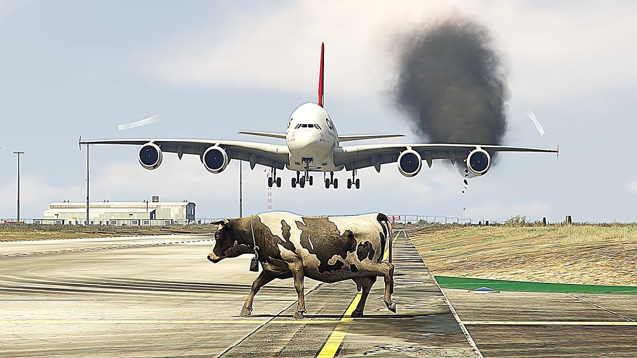 Cow Accidentally Comes Runway During Airbus Hard Landing Gta5