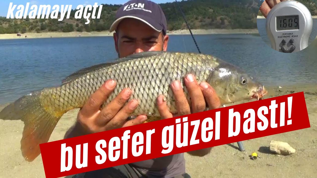 9 GÜNLÜK YENİ KAMP SERİSİ | 8.BÖLÜM | #Kamp#sazan#balıkavı#sazanavı#camping #fishing