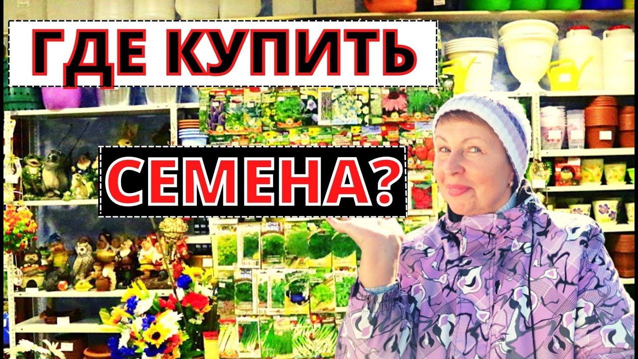 Где купить лучшие семена, удобрения и средства защиты сада?  ПРЯМОЙ ЭФИР