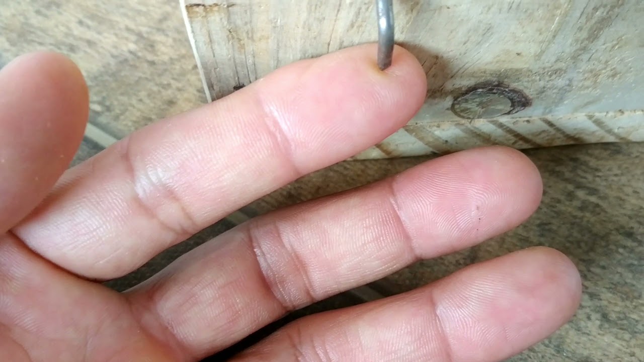 Como colocar ninho externo na sua gaiola criadeira de um jeito fácil