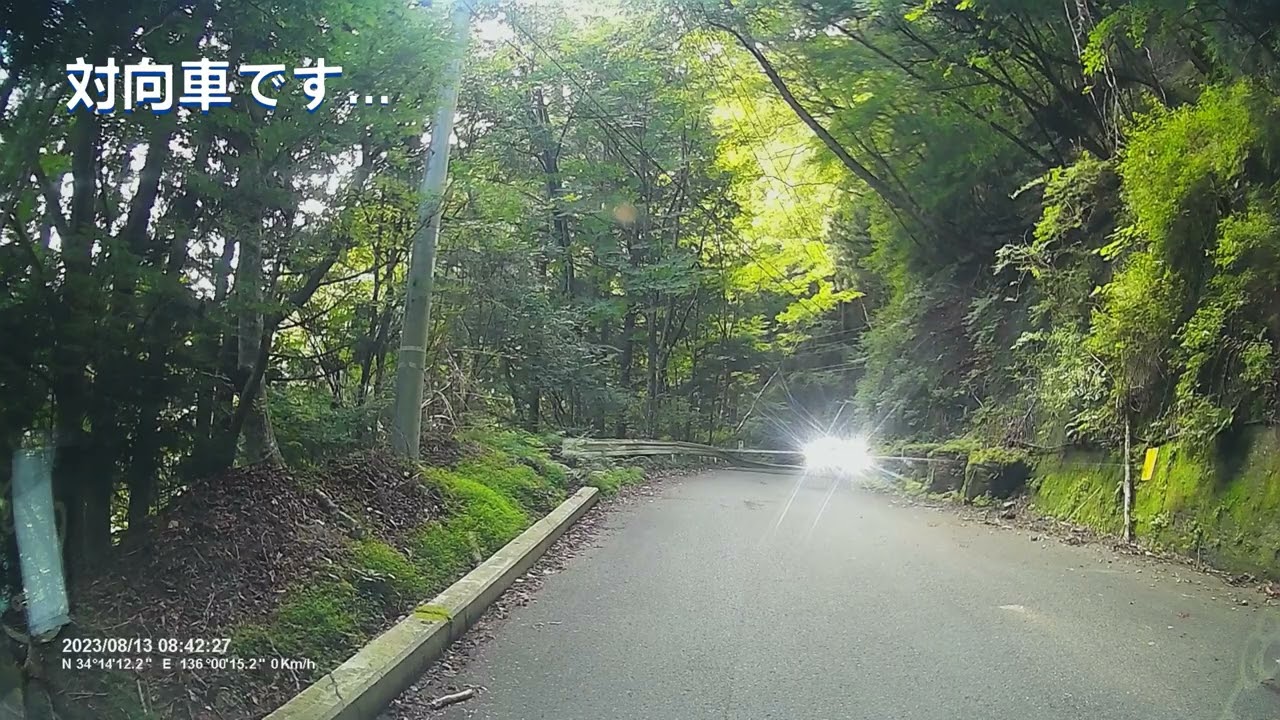 【奈良県大台ケ原】#1 大台ケ原ドライブウェイ・吉野熊野国立公園駐車場までのノーカット・睡眠動画かな？ｗ