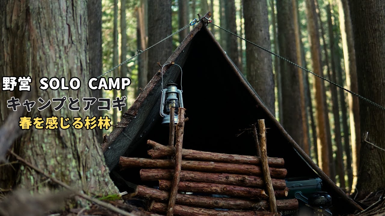 【ソロキャンプ】東ドイツ軍幕2枚とポーランド軍幕1枚を使ったテントは、とても広くて快適でした。