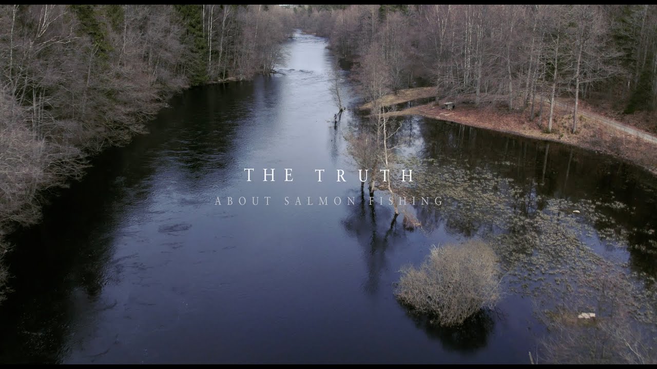 The truth about salmon fishing S02 Ep1 Opening day in Mörrum 2022