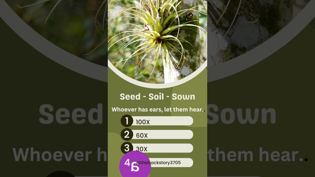 Sunday School Lesson  - # The Sower and the Seed