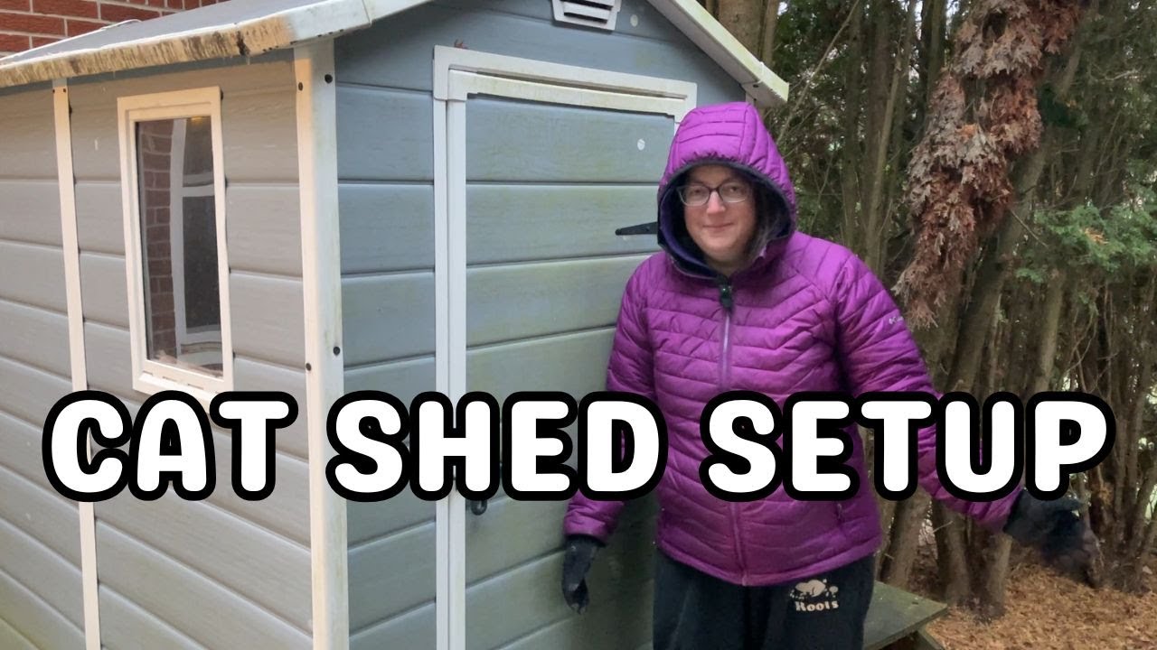 Everything About Our Cat Shed for Outdoor Cats
