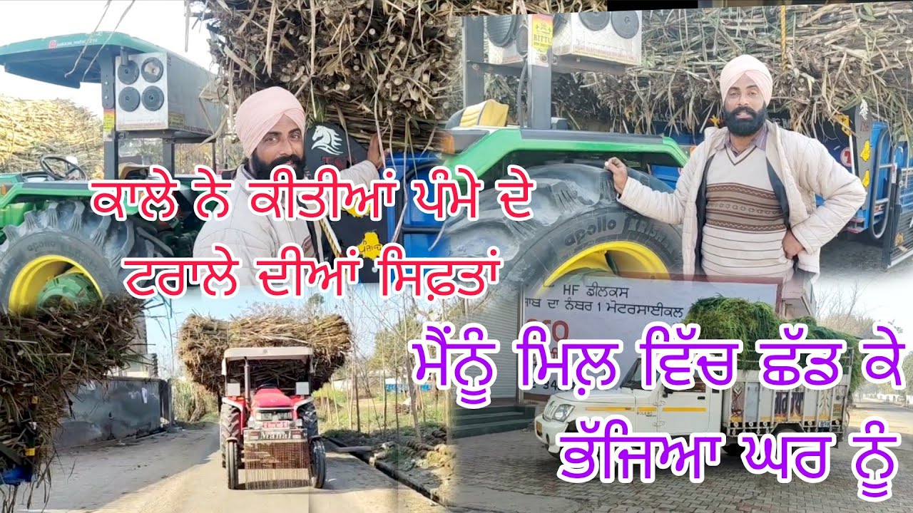 ਕਾਲੇ ਨੇ ਕੀਤੀਆਂ ਪੰਮੇ ਦੇ ਟਰਾਲੇ ਦੀਆਂ ਸਿਫ਼ਤਾਂ/200 ਕੁਵਿੰਟਲ ਨਹੀਂ ਹੋਇਆ ਗੰਨਾ/@Bindermahal 