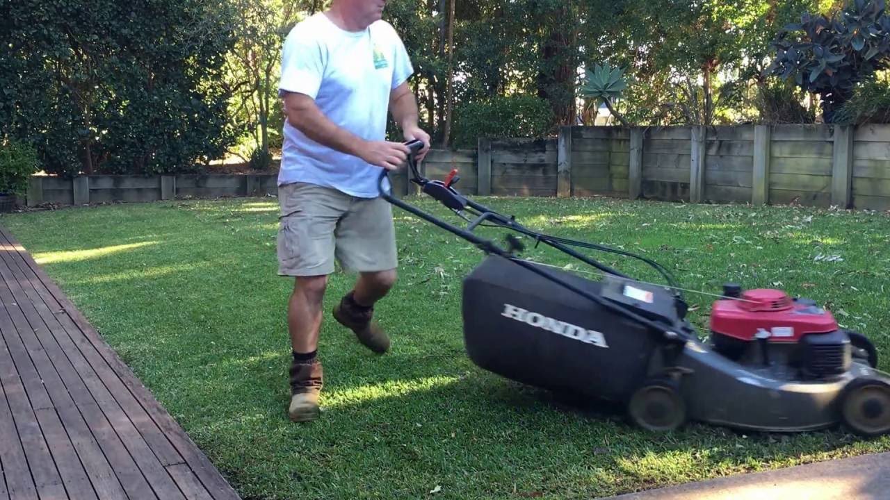 Honda Self Propelled Lawn Mowing Bagging Leaves Pittwater Mowing Australia