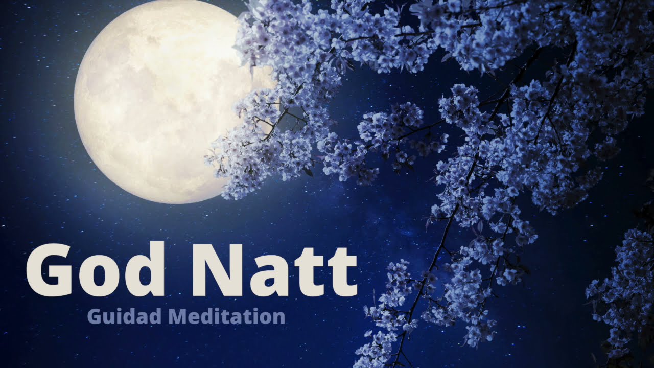 God Natt ✧ Guidad Meditation (För en djup & behaglig sömn)