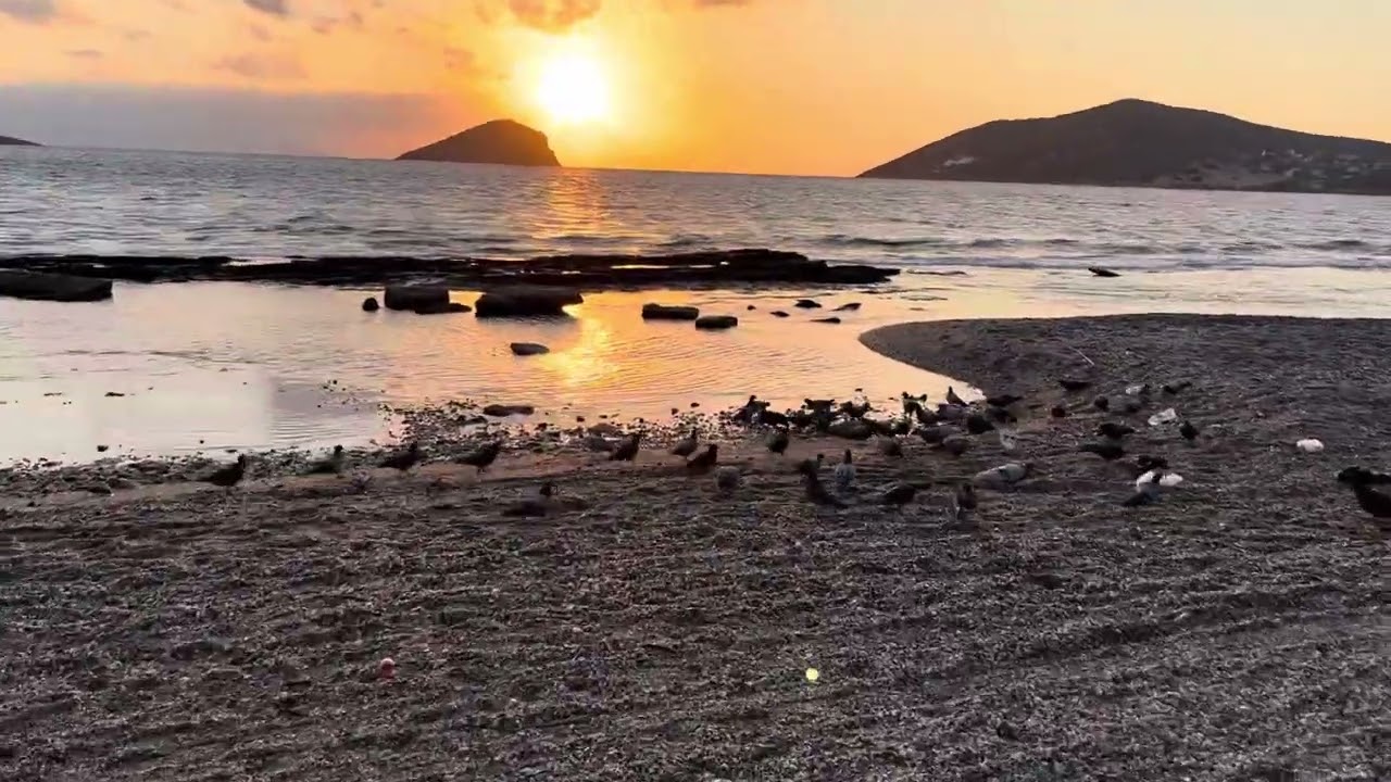 Porto Rafti, Avlaki beach