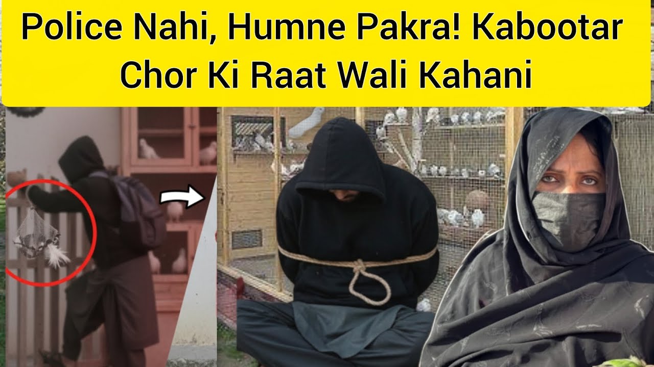 Police Nahi, Humne Pakra! Kabootar Chor Ki Raat Wali Kahani