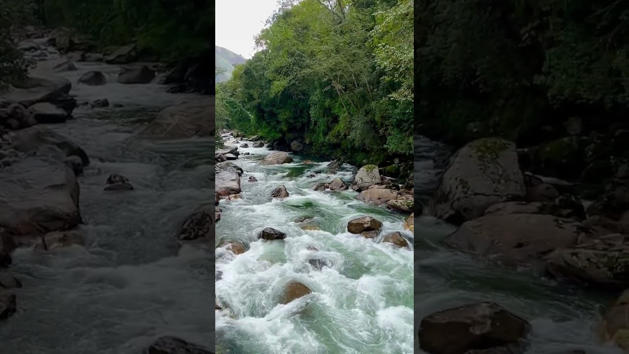 Anini Arunachal Pradesh | Hidden Paradise in Northeast India #exploreramarjit #anini #travel