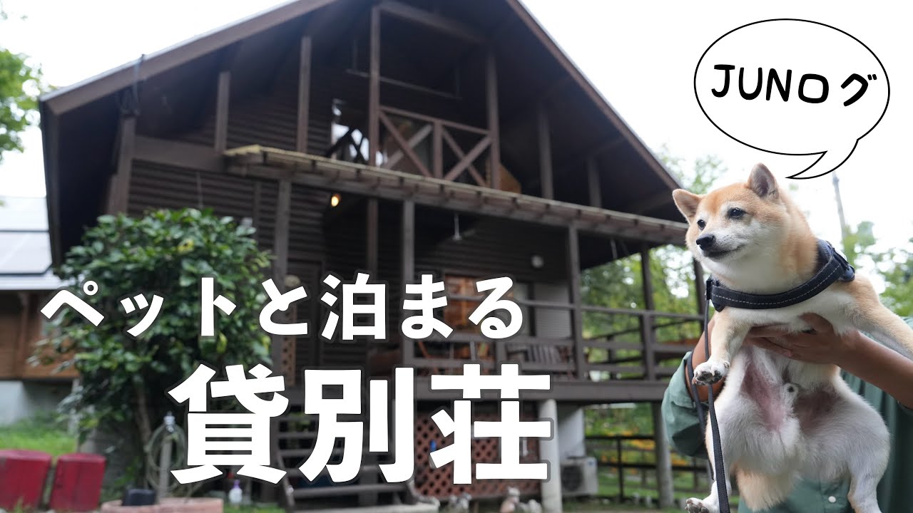 【犬連れ旅行】蒜山のペットと泊まれるログハウス JUNログ（岡山）