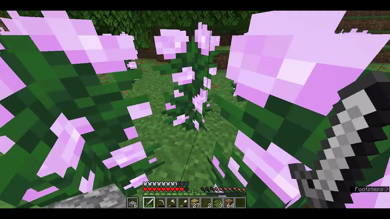 Minecraft Vid #2
