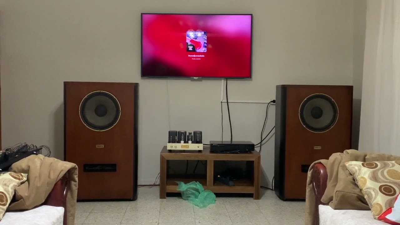 TANNOY HPD 385