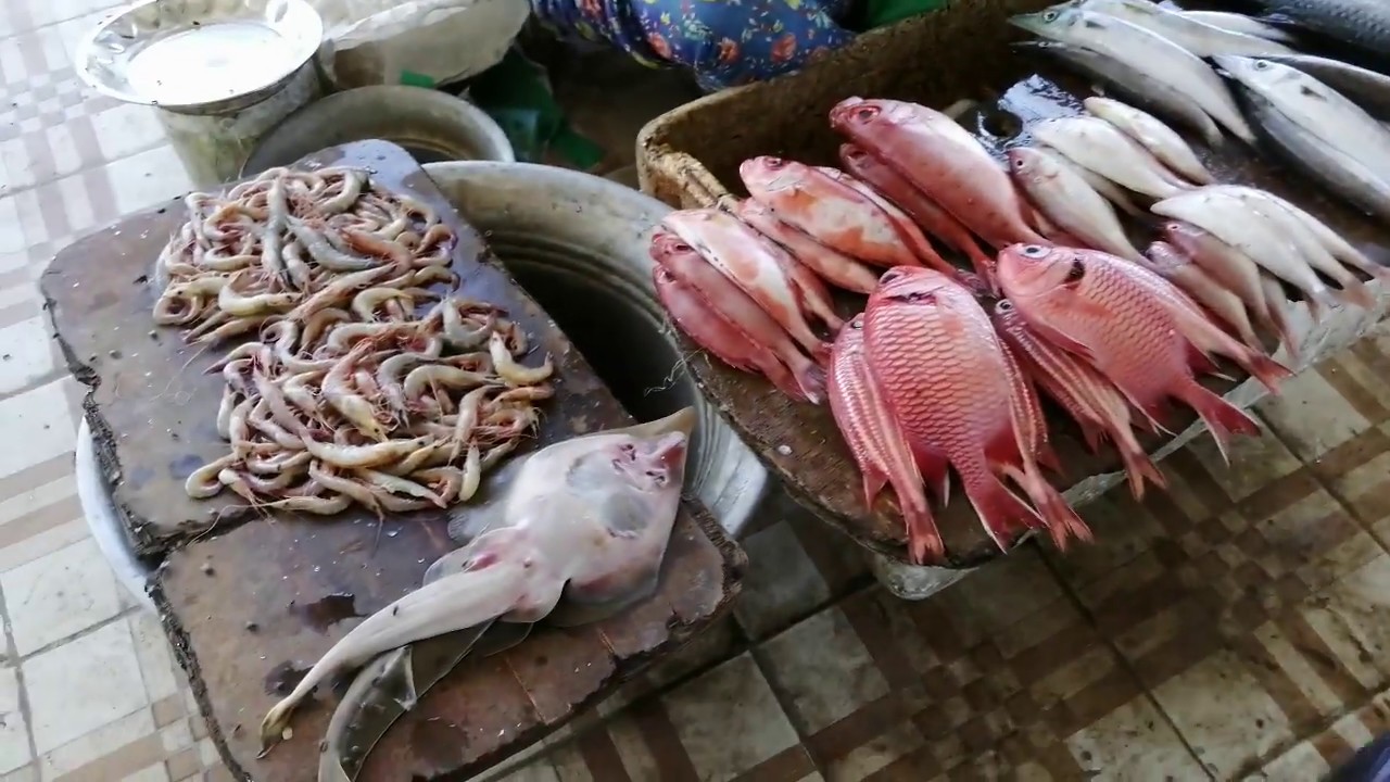 Fish Market, Vanjoor,  Nagore, Nagapattinam