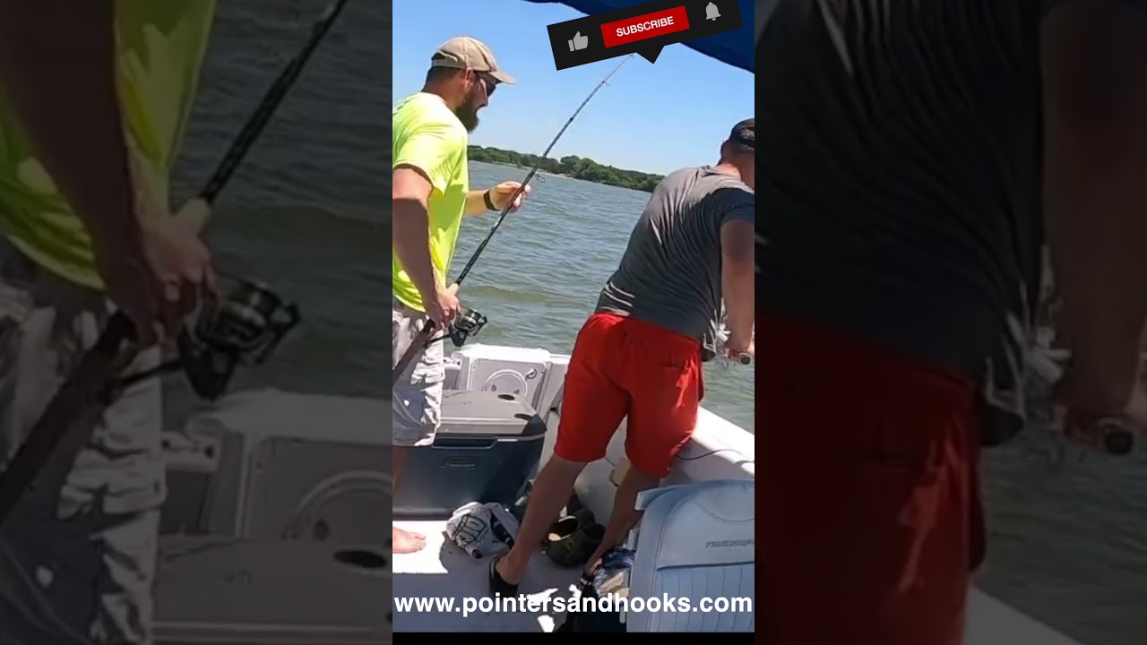 Striper Catch In The Choptank River