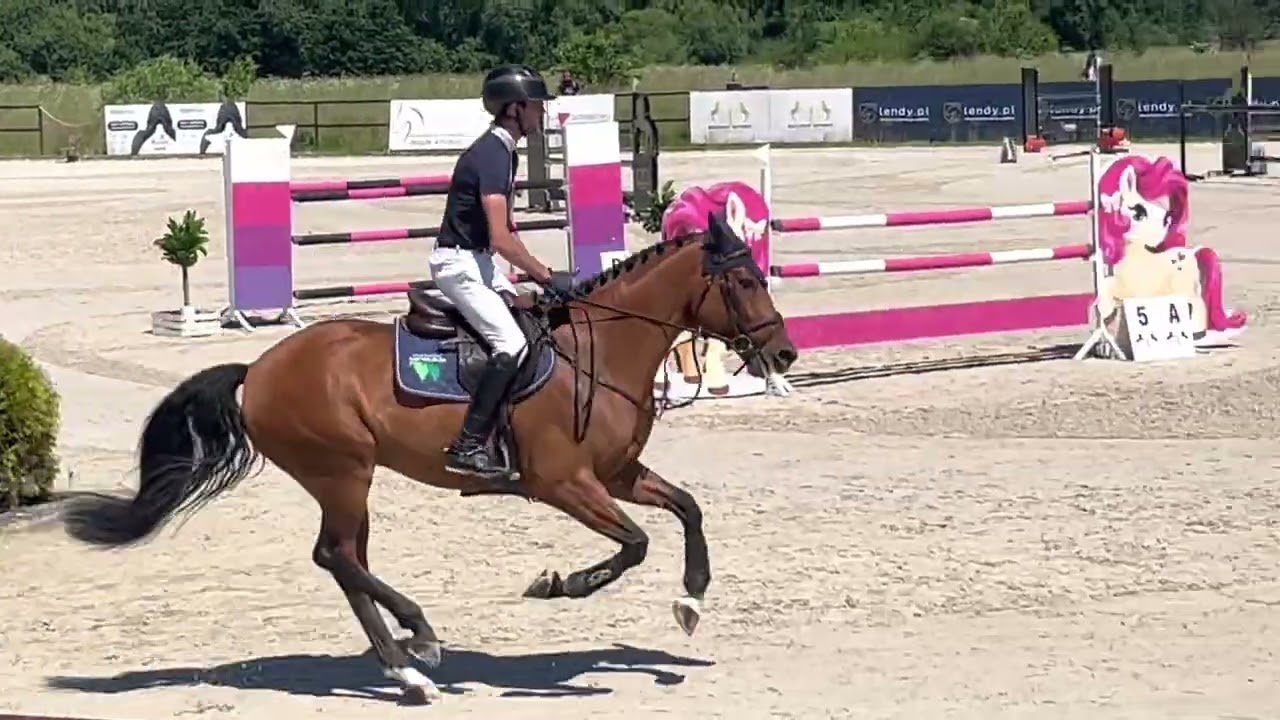 Corazzi (Grand Slam VDL x Eldorado vd Zeshoek) 2022/06/11 ZO Becker Sport- 130 cm I SPRZEDANY / SOLD