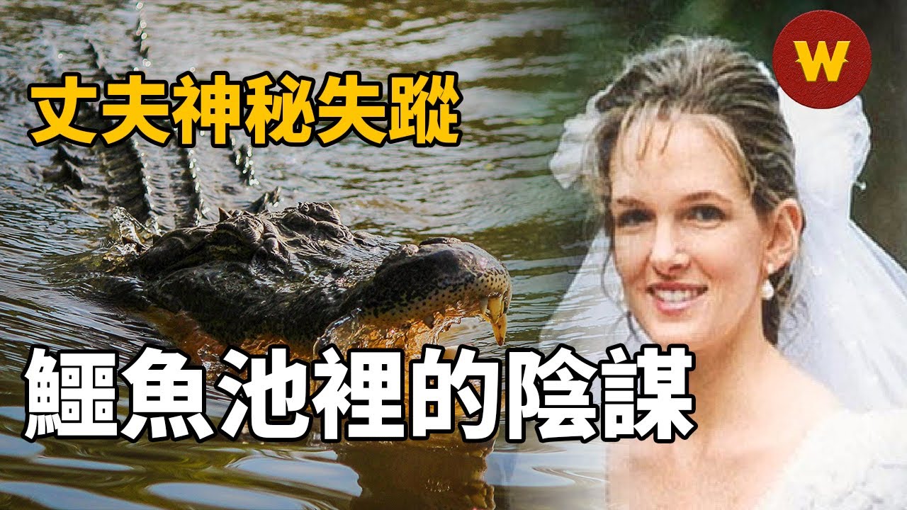 【鱷魚池裡的秘密】丈夫神秘失蹤，兇手是鱷魚還是另有隱情？