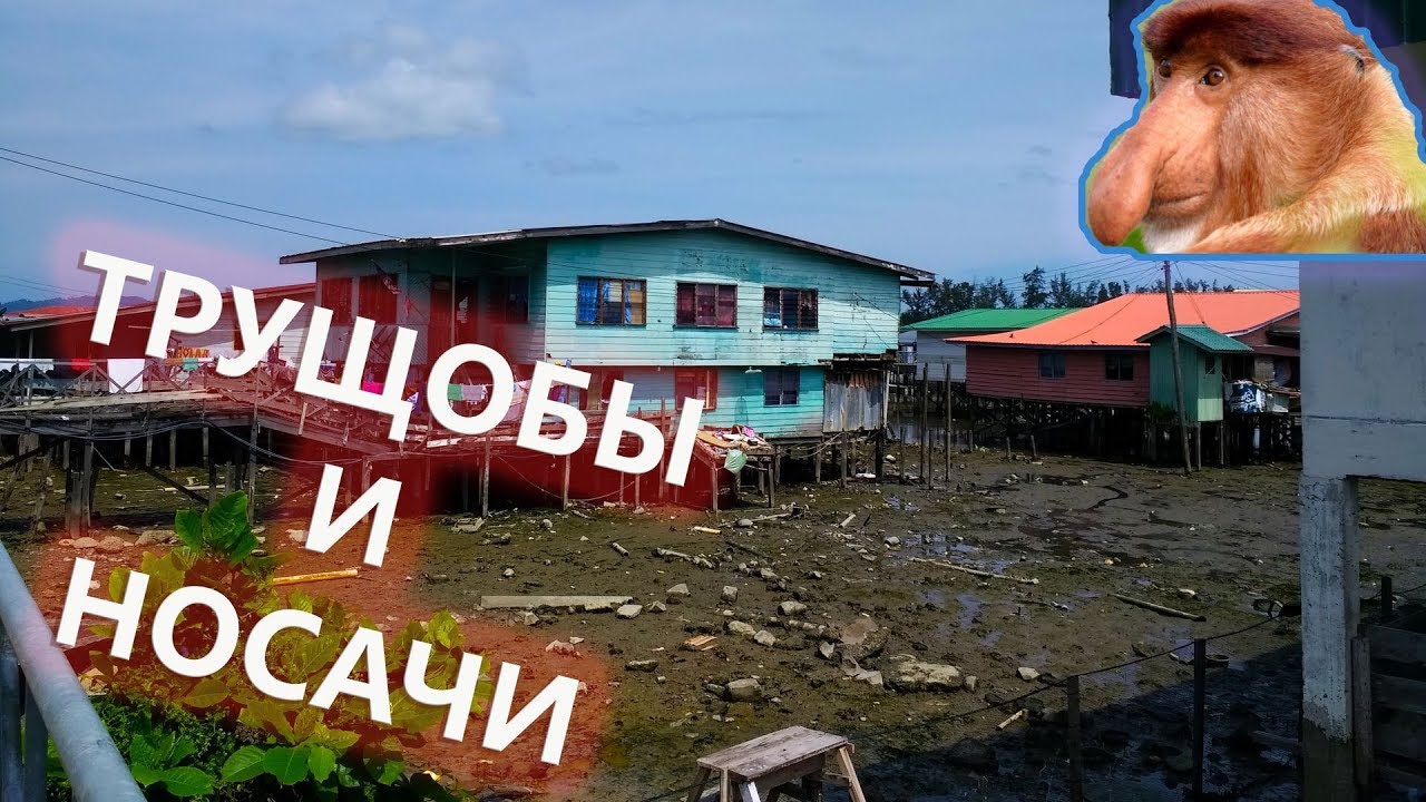 Малайзия. Кота-Кинабалу. Сафари на Лодке на Обезьян-Носачей. Остров Борнео Смотрим Местные Трущобы.