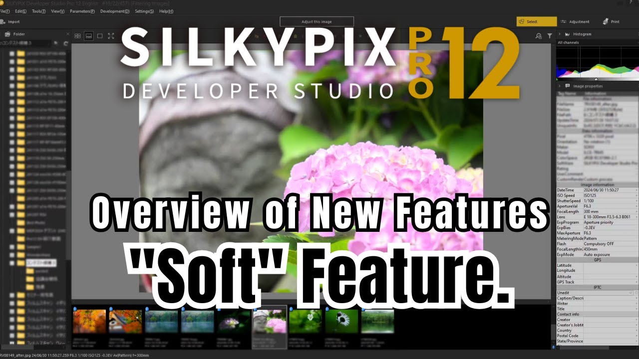 Introducing the NEW &ldquo;Soft&rdquo; Expression Method in SILKYPIX Pro12!