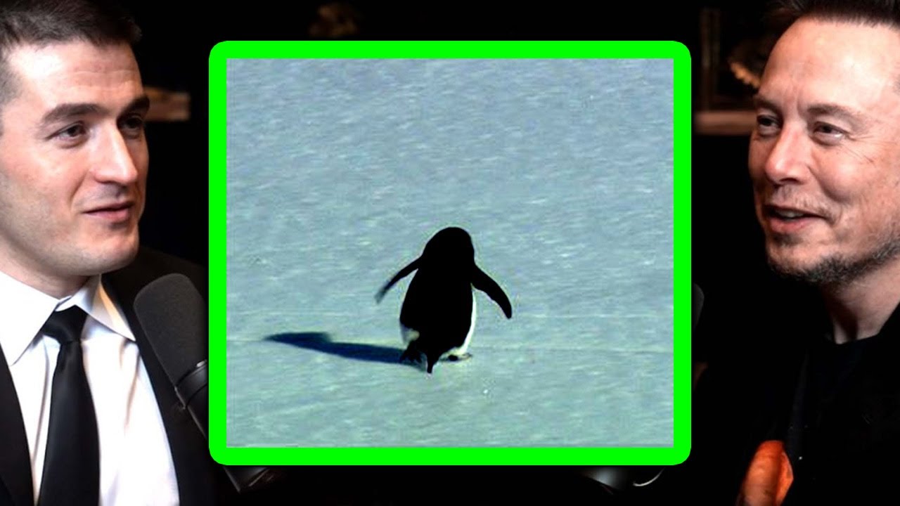 Elon and Lex discuss depressed penguin