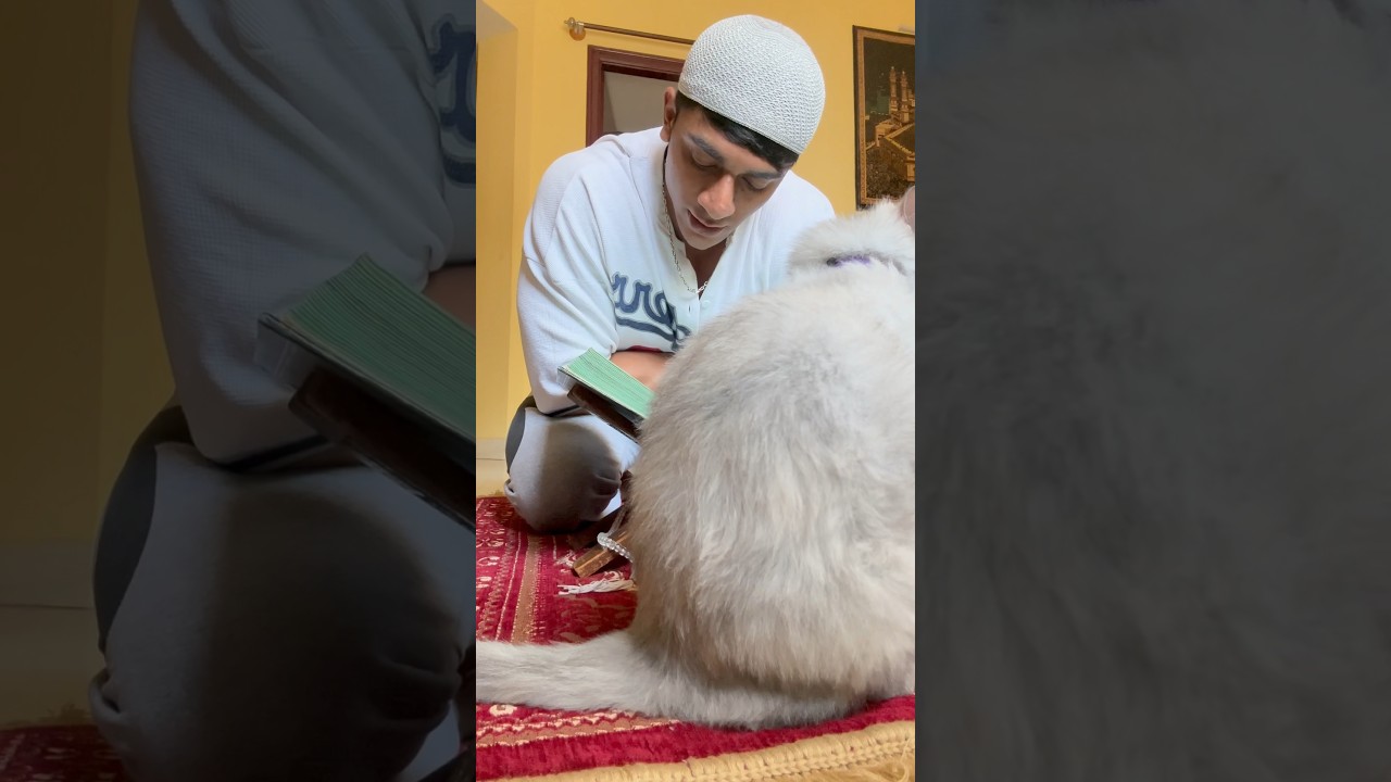 Ramadan 17/30🌙 #trendingnow #ramadan #shorts #shortsvideo #viralshorts #viral #trendingshorts