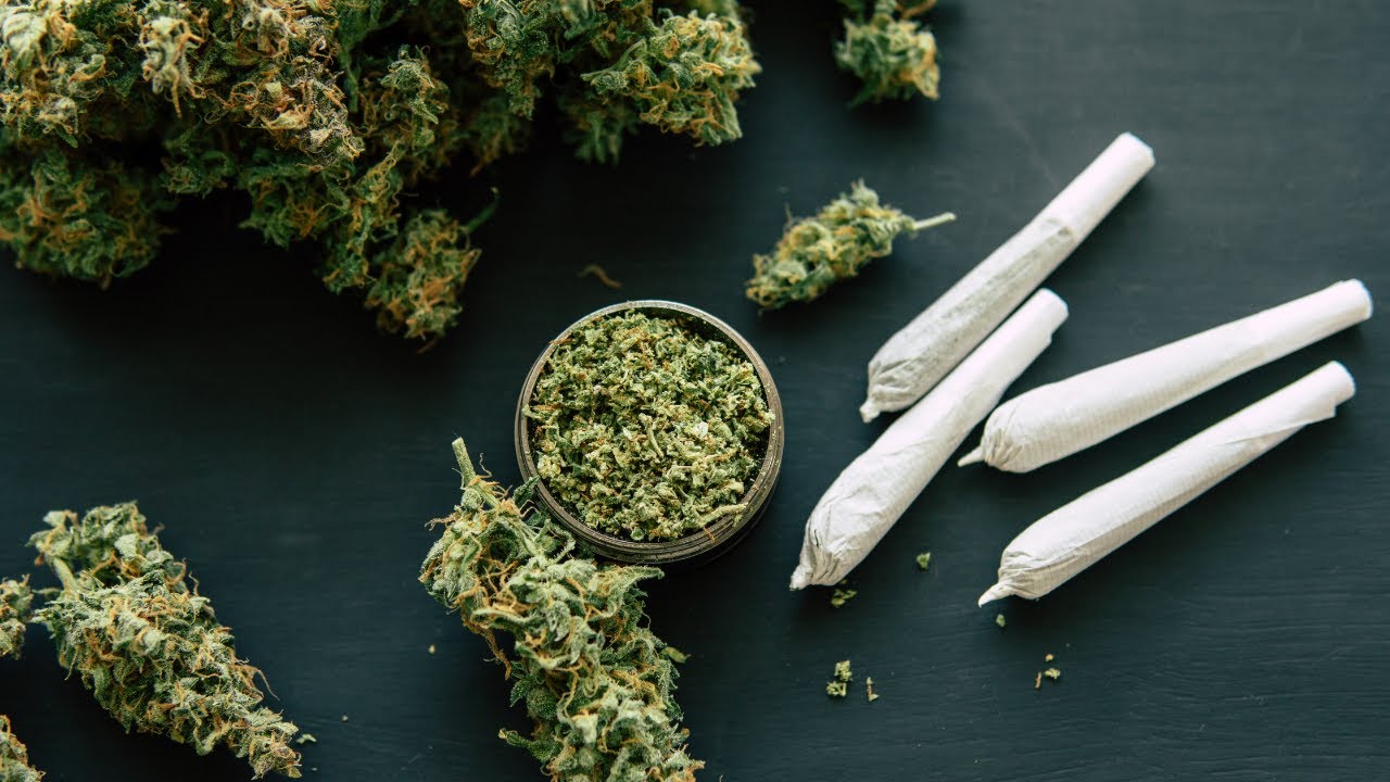L’Allemagne légalise le cannabis… pourquoi pas la France ?