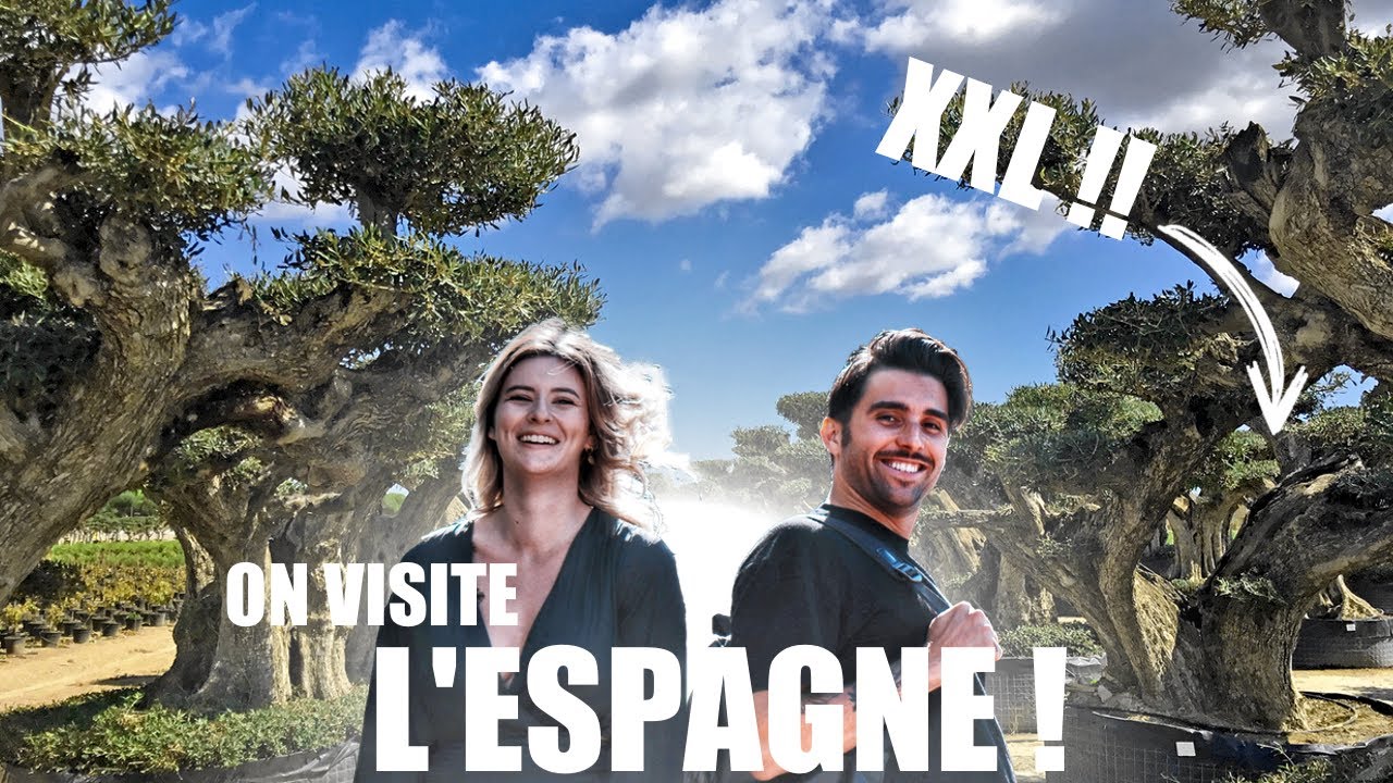 ON VISITE DES PÉPINIÈRES EN ESPAGNE et c'est HALLUCINANT !