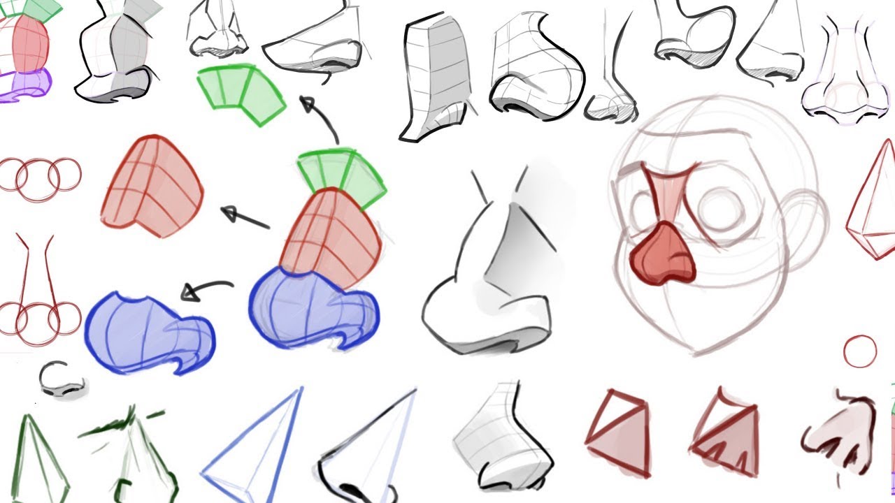 How to draw the nose