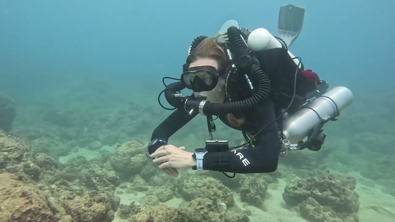 @takedive TAKE DIVE TRY CCR