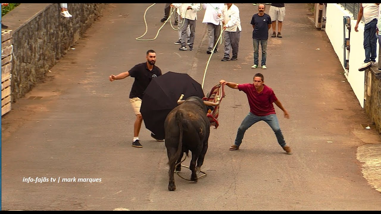 “TOURADA À CORDA” – Festas de Sant`Ana – Beira – Ilha de São Jorge (29.07.2025)