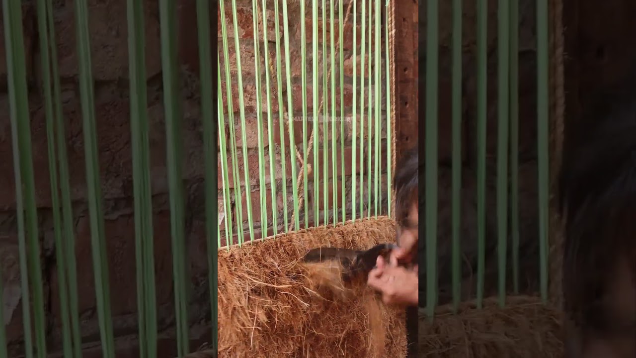 Making Doormats from Coconut Fibre|Coir Industries