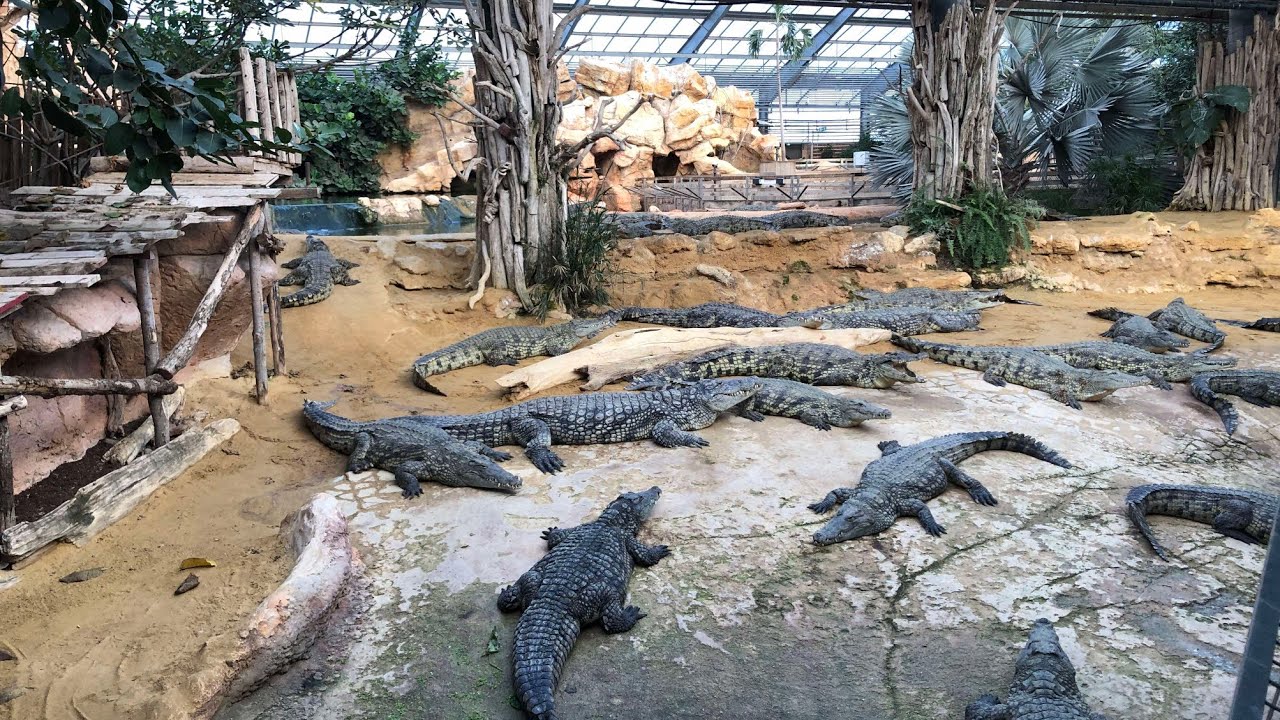 La Ferme Aux Crocodiles part-1 @pierrelatte/bourgeois family vlog
