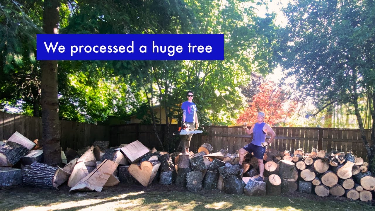 We taught ourselves how to break down a massive oak tree with a chainsaw and sledgehammer