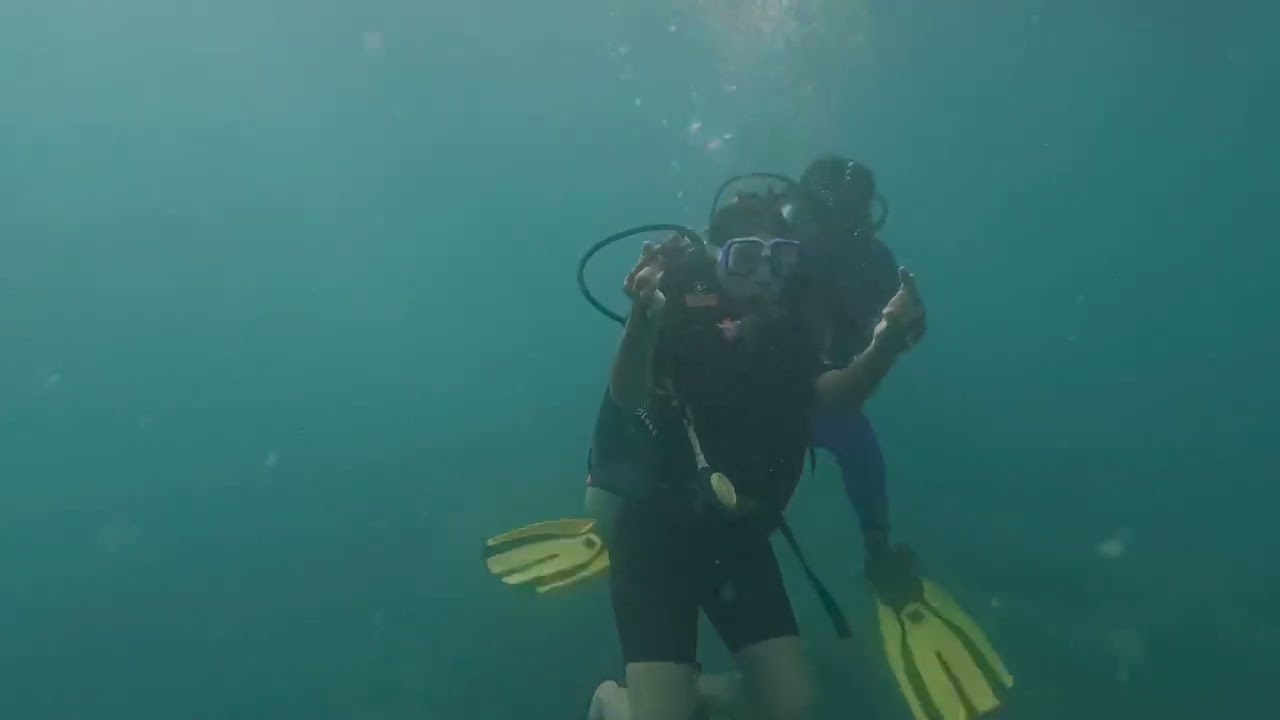 ANDAMAN & NICOBAR ISLANDS # HAVELOCK ISLAND ( SWARAJ DEEP  ISLAND ) # NEIL ISLAND # SCUBA # NEMO